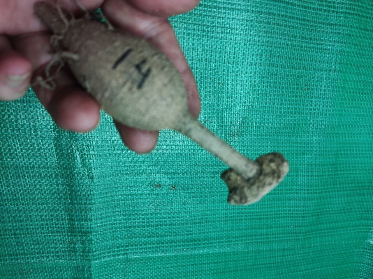 Георгина Свит Лав (Sweet Love) — фото 1